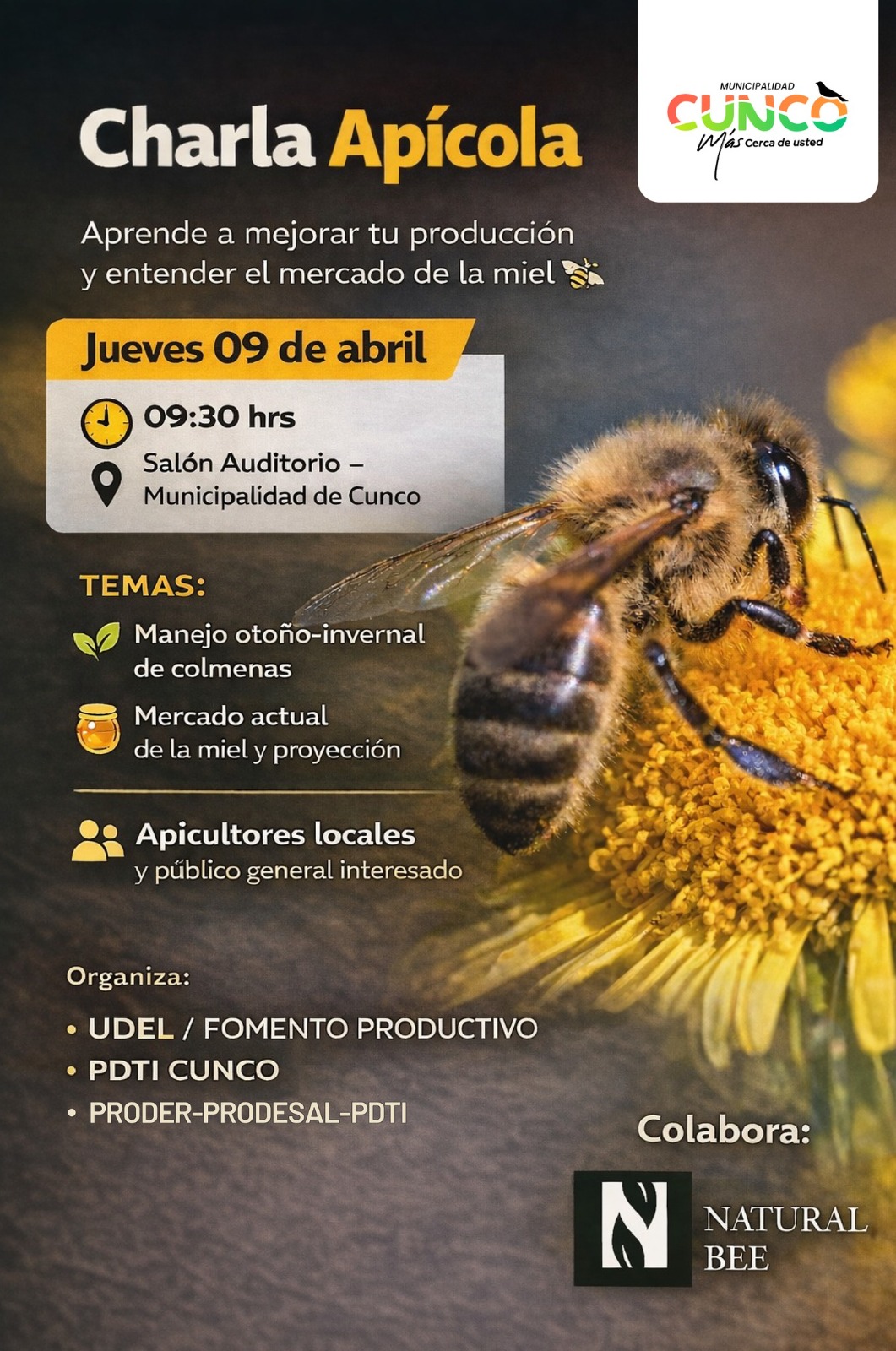 Charla Apícola en Cunco: Manejo de Colmenas y Mercado de la Miel – Abril 2026
