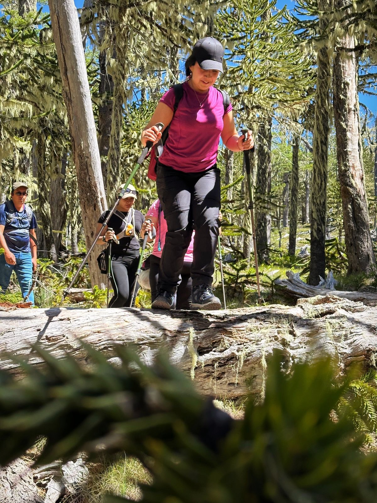 Trekking hacia la Laguna Cochor en Cunco