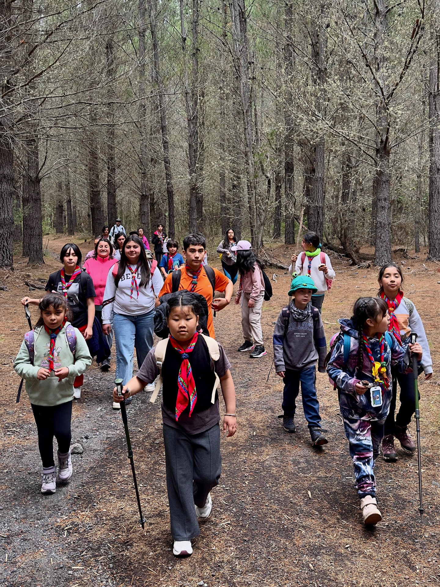 Aventura en la Naturaleza en Salto El Canelo