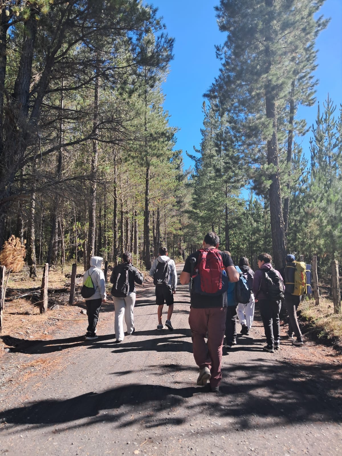 Escuela de Trekking: Capacitación en RCP en Cunco