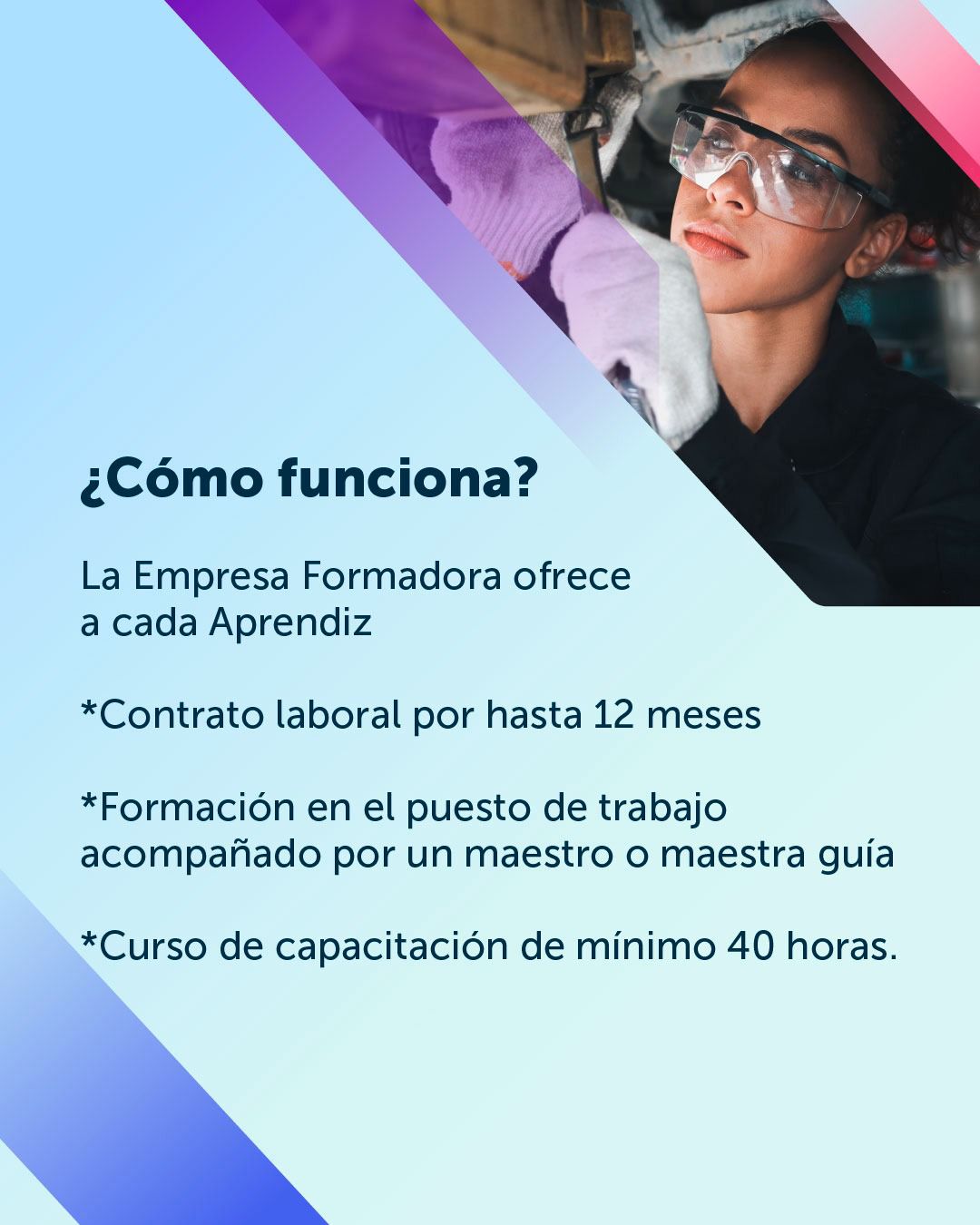 Programa Aprendices - SENCE Araucanía