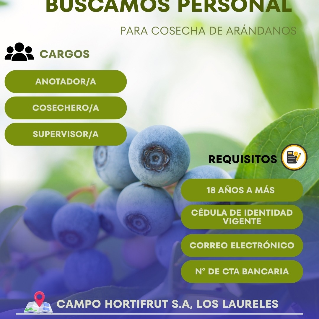Cosechero/a - Campo Hortifrut S.A.