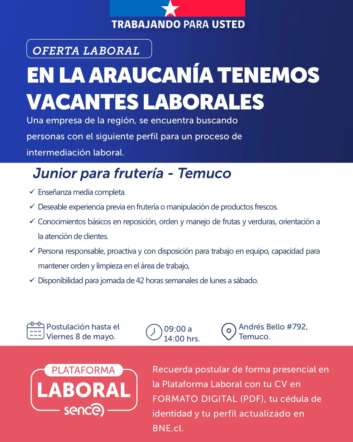 Junior para frutería - SENCE Araucanía