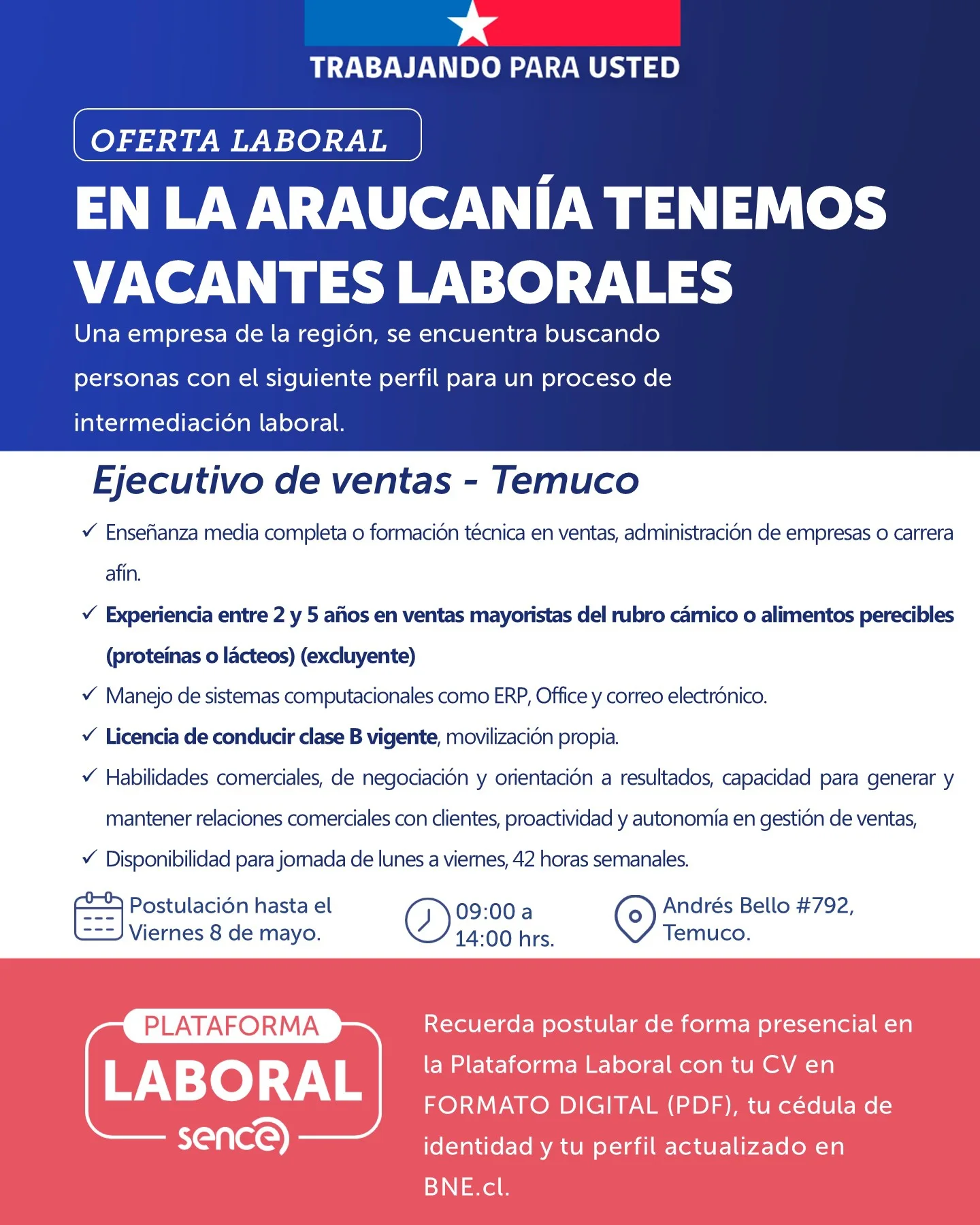 Ejecutivo de ventas - SENCE Araucanía