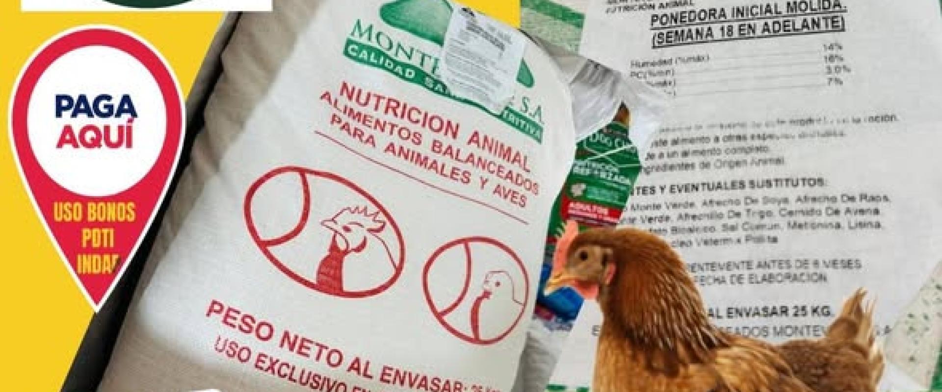 Alimento Ponedora Inicial Molida 25 Kgs