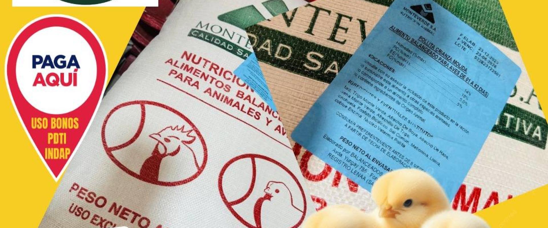 Alimento Pollita Crianza Molida 25 Kgs