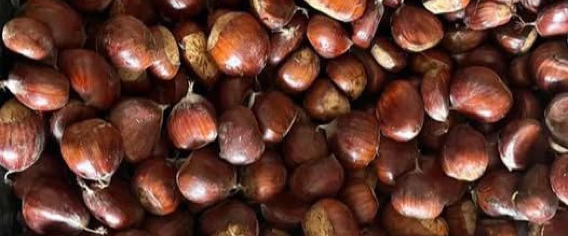 Ricas Castañas Frescas para el Invierno