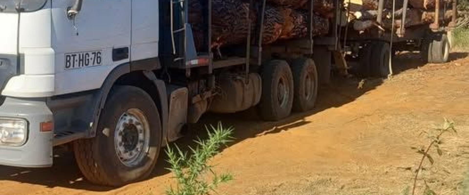 Compra de Trozos de Pino y Oregón