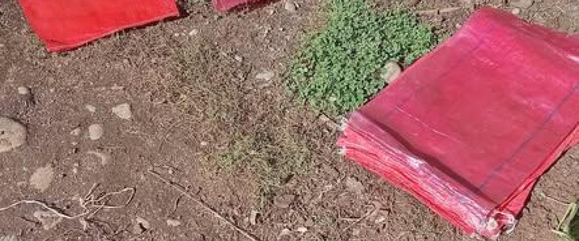 Sacos usados en buen estado para diversos usos