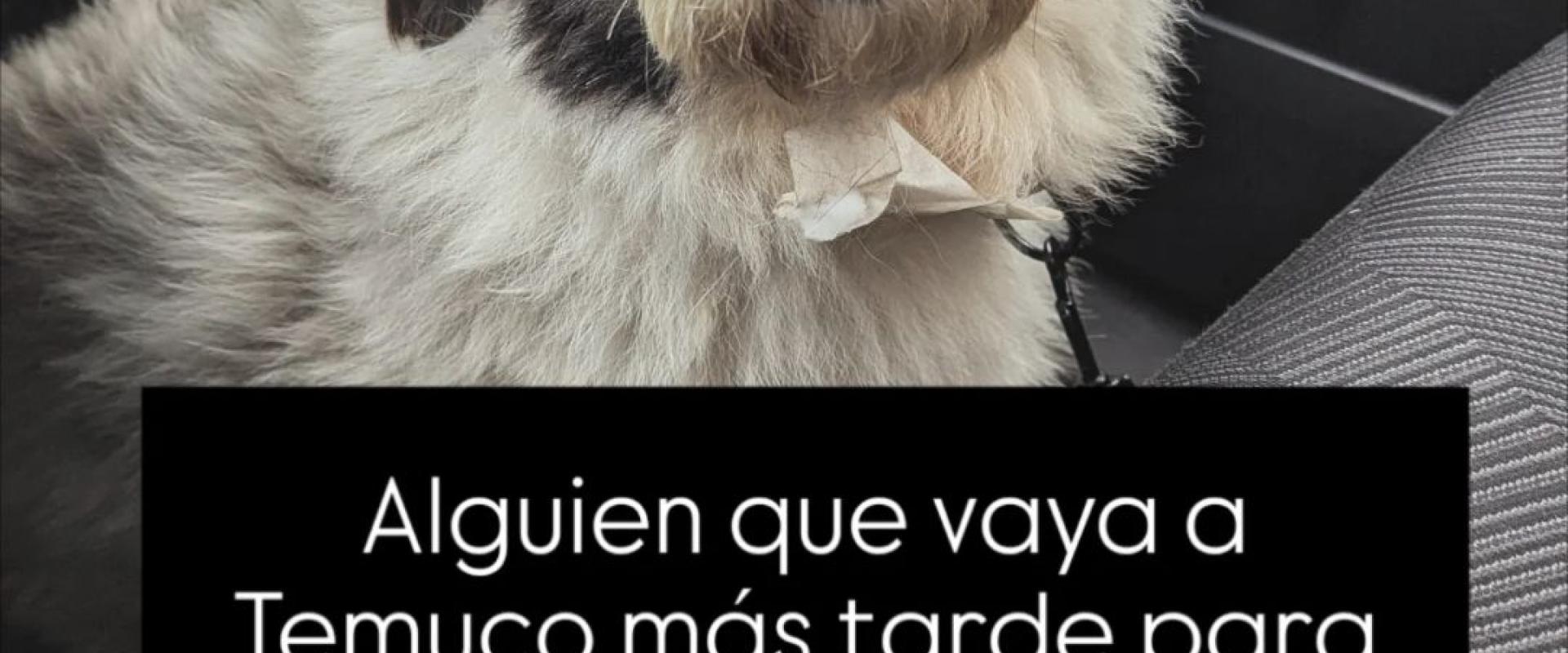 Servicio de envío de encargo a Temuco