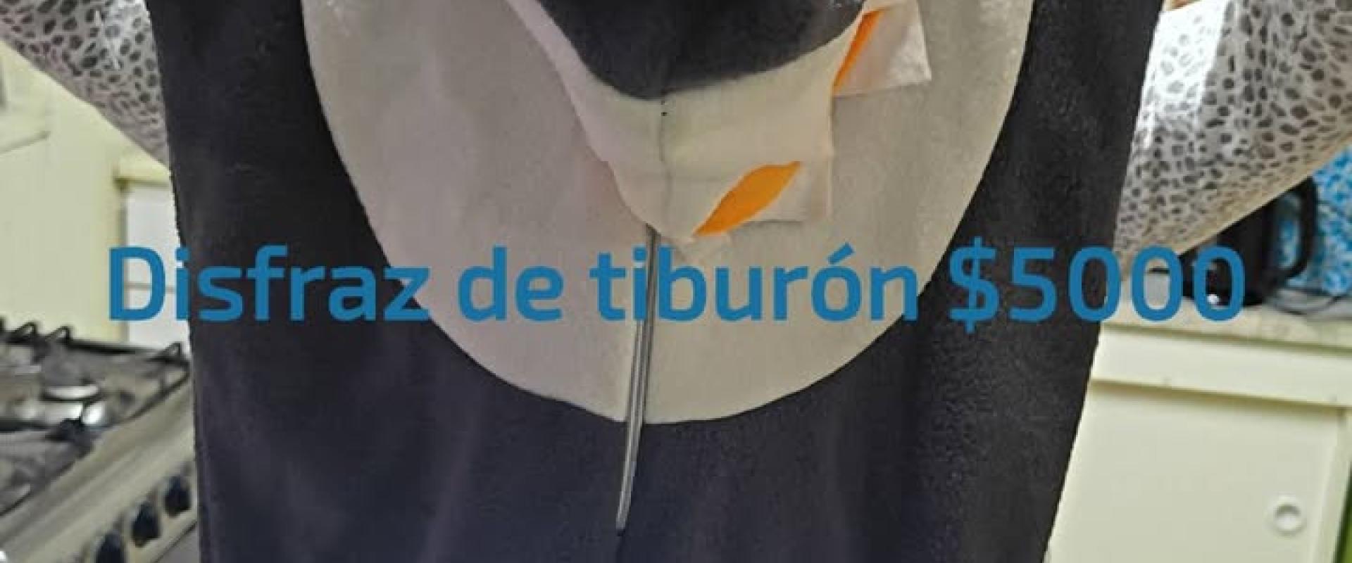 Disfraz infantil de tiburón