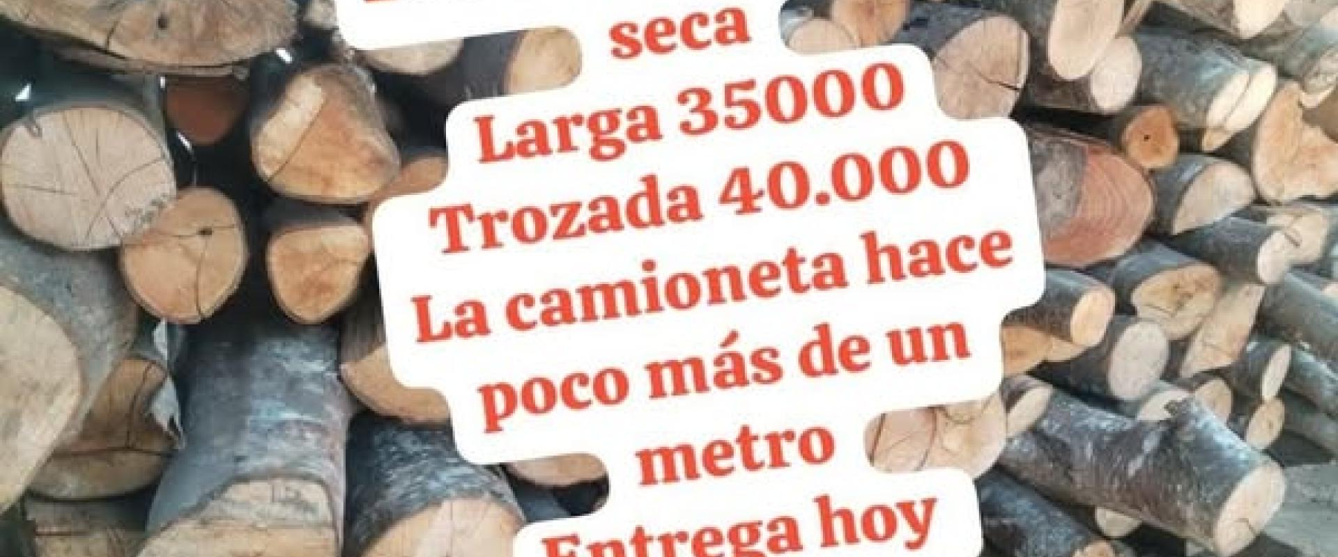 Leña de hualle y radal seca