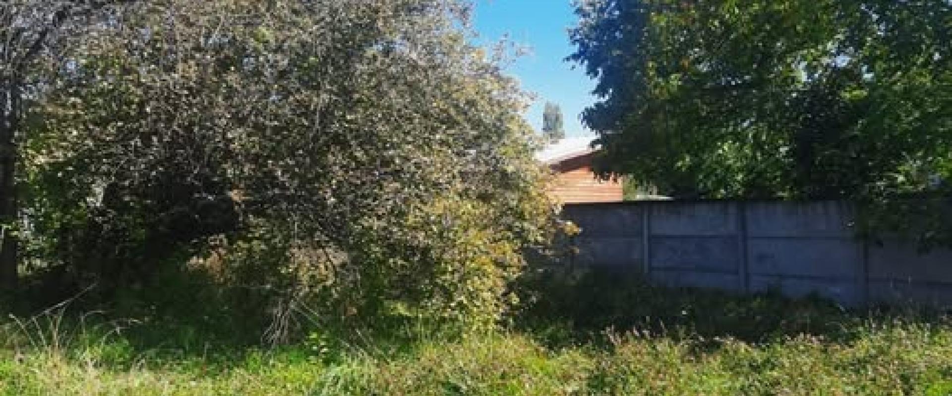 Sitio en Melipeuco 25x50 mts