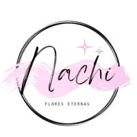 Nachi Logo