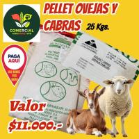 Alimento Ponedora Inicial Molida 25 Kgs