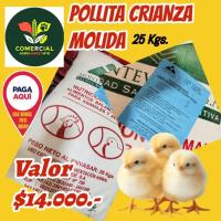 Alimento Ponedora Inicial Molida 25 Kgs