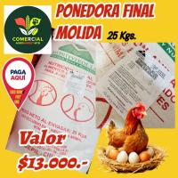 Alimento Pollita Crianza Molida 25 Kgs