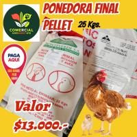 Alimento Pollita Crianza Molida 25 Kgs