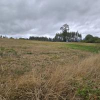 Parcela 5000 m2 sector Lo Smith - 28 de Abril, Cunco