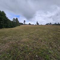 Parcela 5000 m2 sector Lo Smith - 28 de Abril, Cunco