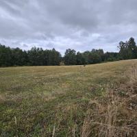 Parcela 5000 m2 sector Lo Smith - 28 de Abril, Cunco