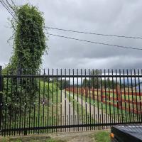 Parcela 5000 m2 sector Lo Smith - 28 de Abril, Cunco