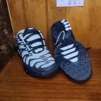 Zapatillas Nike Air Max Plus (TN) talla 40