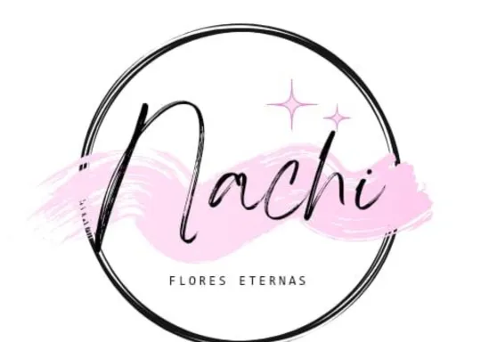 Nachi Logo
