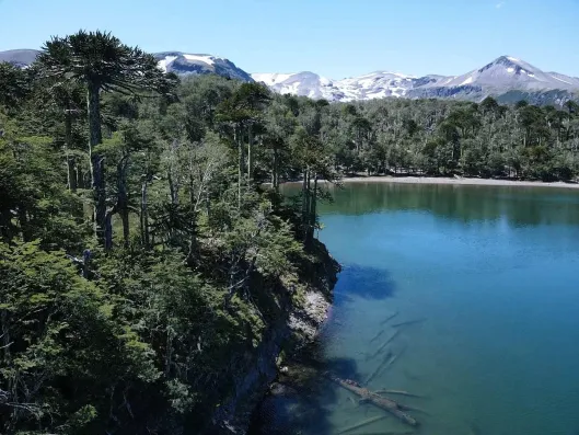 Laguna Cochor