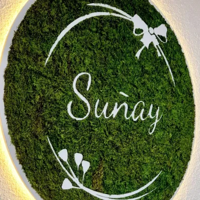 Suñay Logo