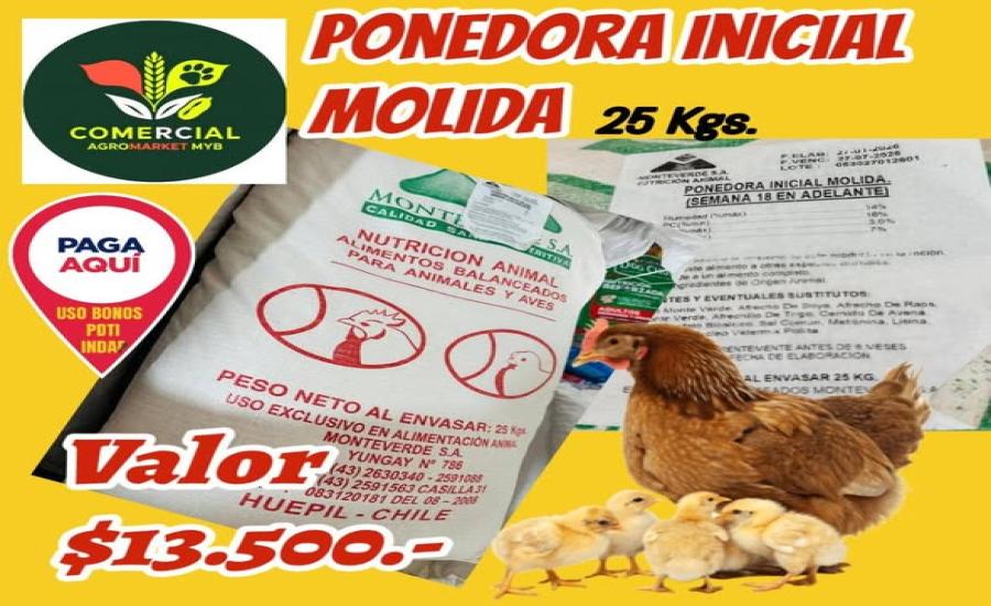 Alimento Ponedora Inicial Molida 25 Kgs