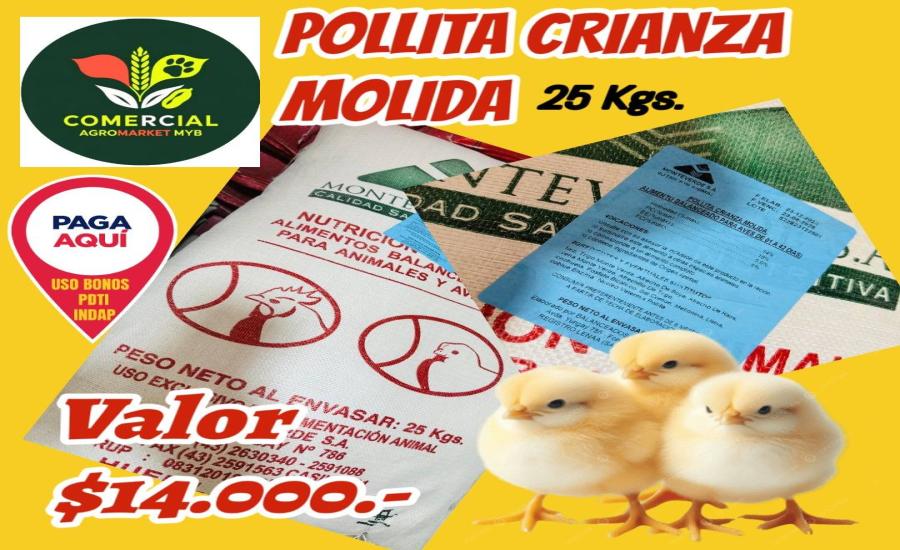 Alimento Pollita Crianza Molida 25 Kgs