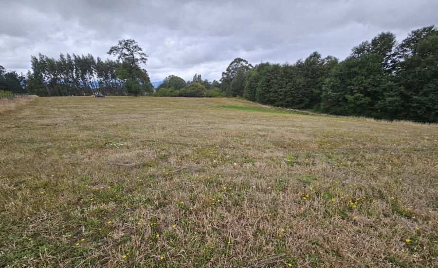 Parcela 5000 m2 sector Lo Smith - 28 de Abril, Cunco