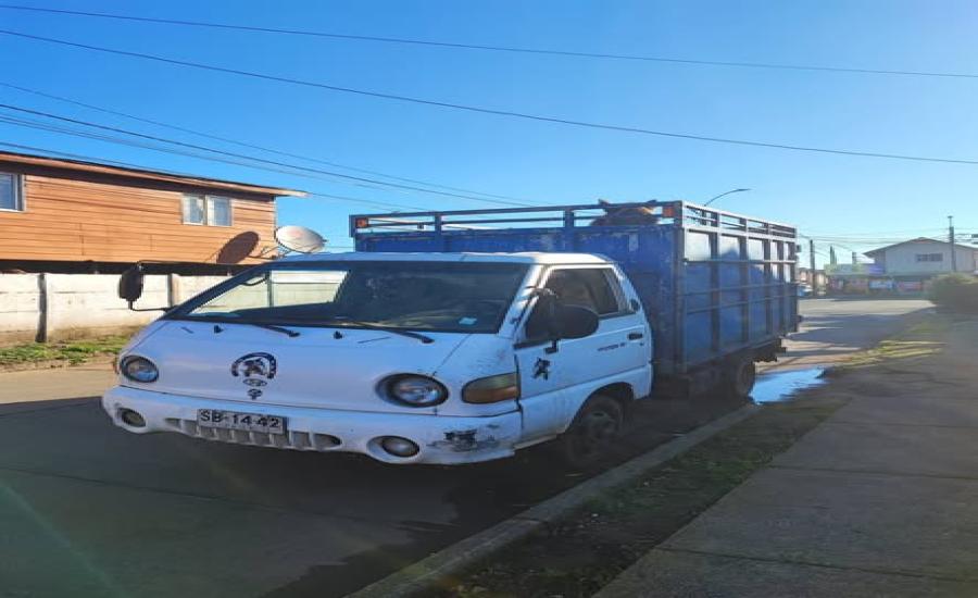 Hyundai Porter año 98 carrocería ganadera