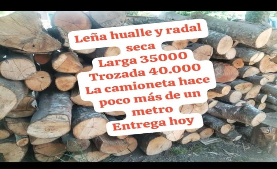 Leña de hualle y radal seca