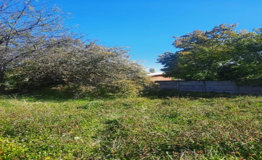 Sitio en Melipeuco 25x50 mts