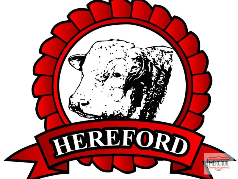 Hereford