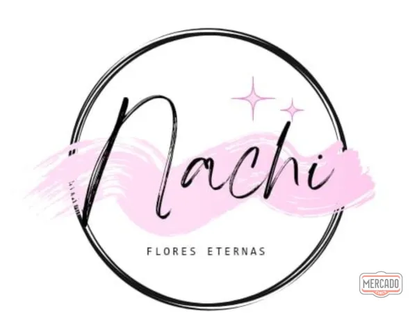 Nachi Logo
