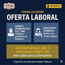 lacustre_trabajo